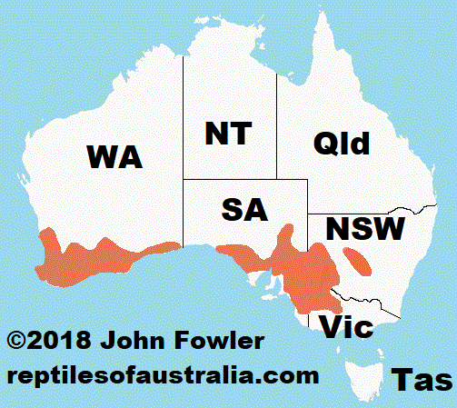 Approximate distribution of Mitchell's Short Tailed Snake Parasuta nigriceps